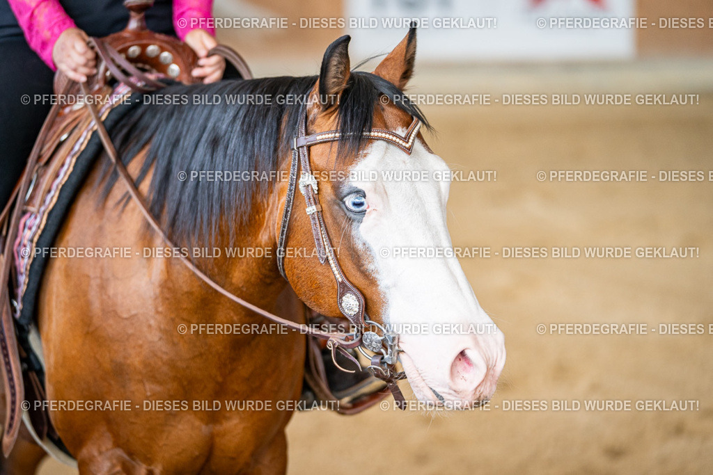 DSC08296 | Pferdegrafie