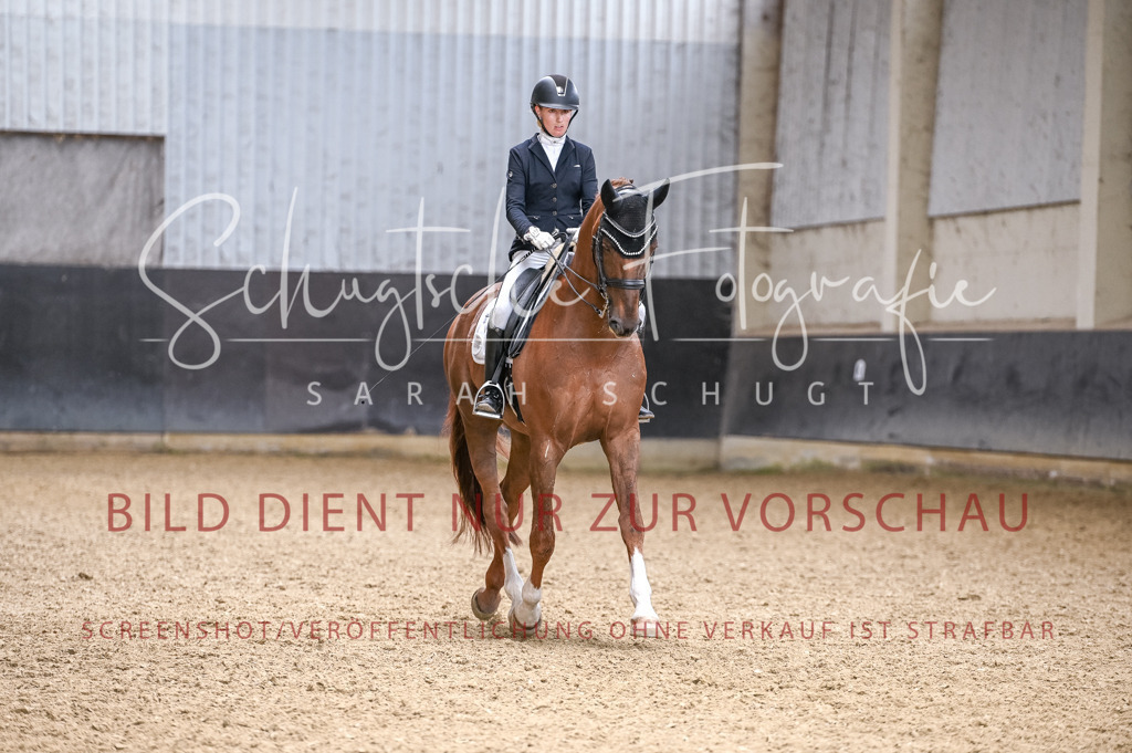Schugtsche-Aluta25-57.Dressurprf.M1Kand-303 | Schugtsche Fotografie - Realisiert mit Pictrs.com