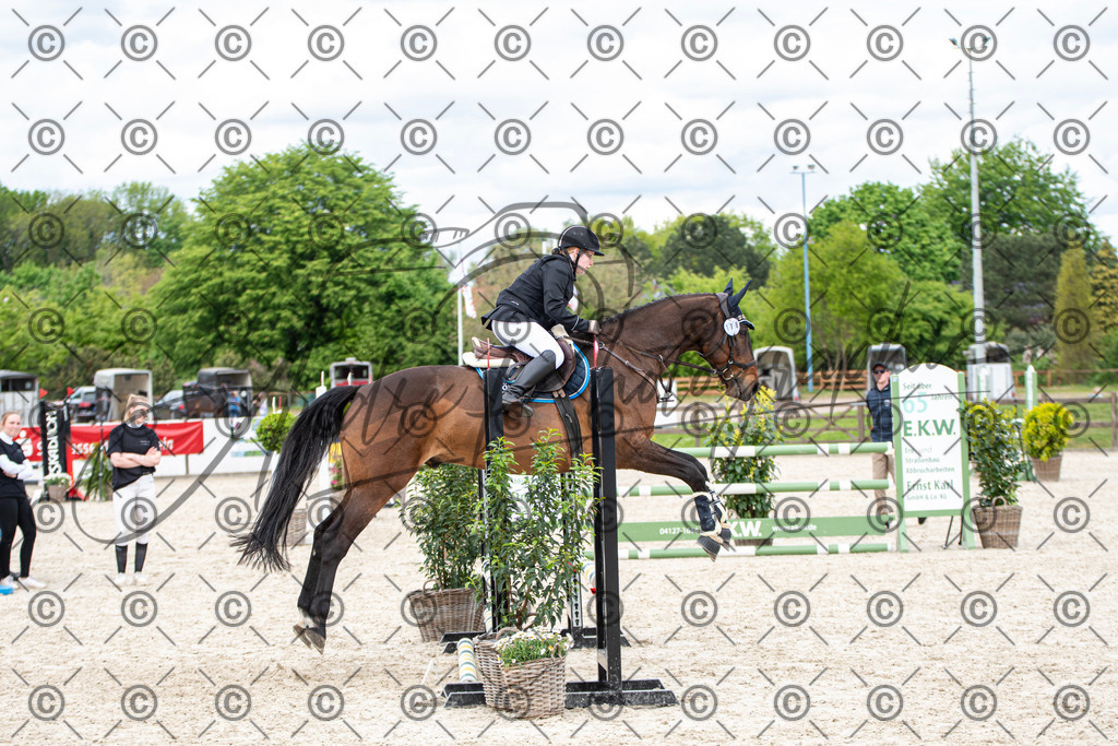 KPT_6149 | andre_photographic