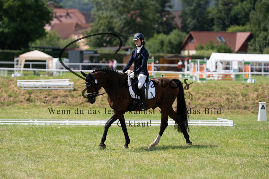 A7V09866 | Pferdefotograf