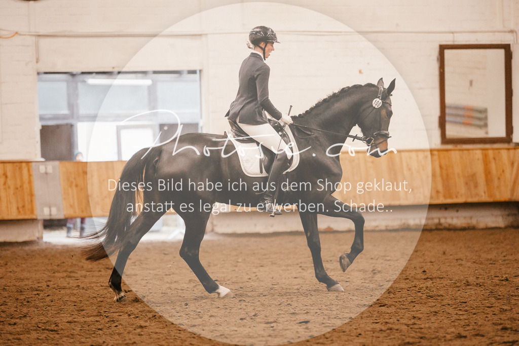3I6A4554 | Stimmungsvolle Portraits und Reitsportfotografie im Ruhrgebiet und im Münsterland.

Pferdefotografie, Hundefotografie, Tierfotografie, Reportagen, Portraits von Tier und Mensch, Turnierfotografie in Bochum, Recklinghausen, Marl, Haltern am See, Dülmen.. - Realisiert mit Pictrs.com