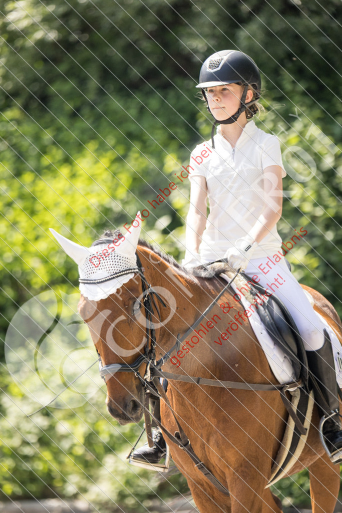 IMG_4584 | Sport-, Event- und Tierfotos in Profiqualität. Einfach auswählen, bestellen und herunterladen. Dein Moment – perfekt festgehalten.