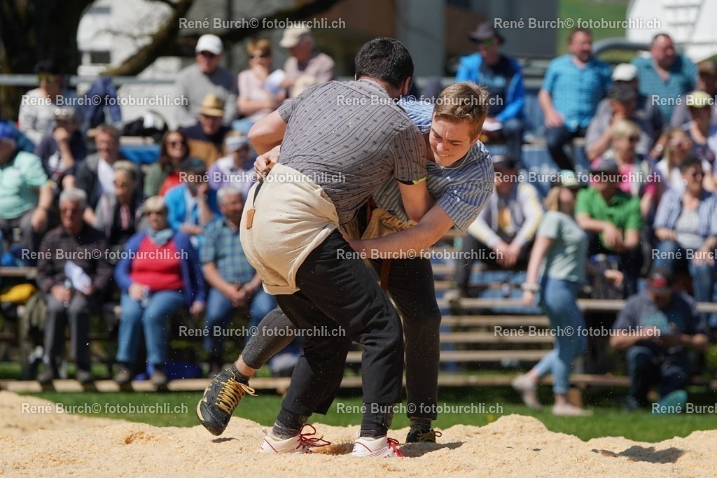 20220418-DSC07306 | René Burch leidenschaftlicher Fotograf aus Kerns in Obwalden.  Hier finden sie Sport, Landschaft und Natur Fotografie.
 - Realisiert mit Pictrs.com