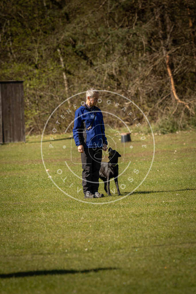 Pfotenfotografie_DV3A0367 | Hundefotografie, Tierfotograf, Pfotenfotografie, Fotoshooting Hund, Hunde Portrait, Hundesport, Hundeportraits, Heideshooting, Hunde, Sportfotograf, Hundefotograf, Turnierhundsport, THS,  - Realisiert mit Pictrs.com
