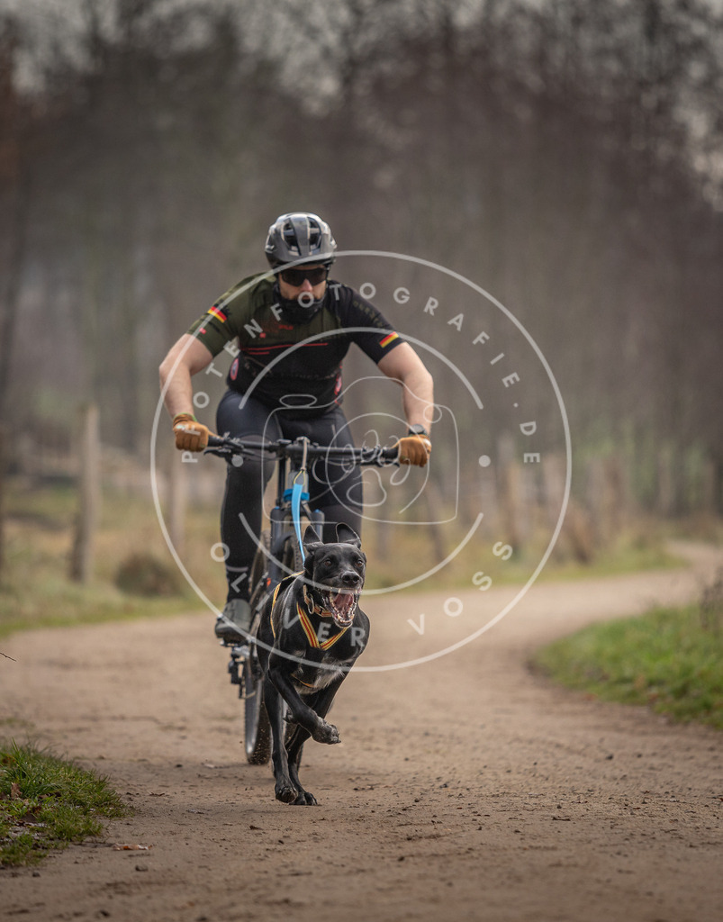 Pfotenfotografie_DV3A1690 | Hundefotografie, Tierfotograf, Pfotenfotografie, Fotoshooting Hund, Hunde Portrait, Hundesport, Hundeportraits, Heideshooting, Hunde, Sportfotograf, Hundefotograf, Turnierhundsport, THS,  - Realisiert mit Pictrs.com