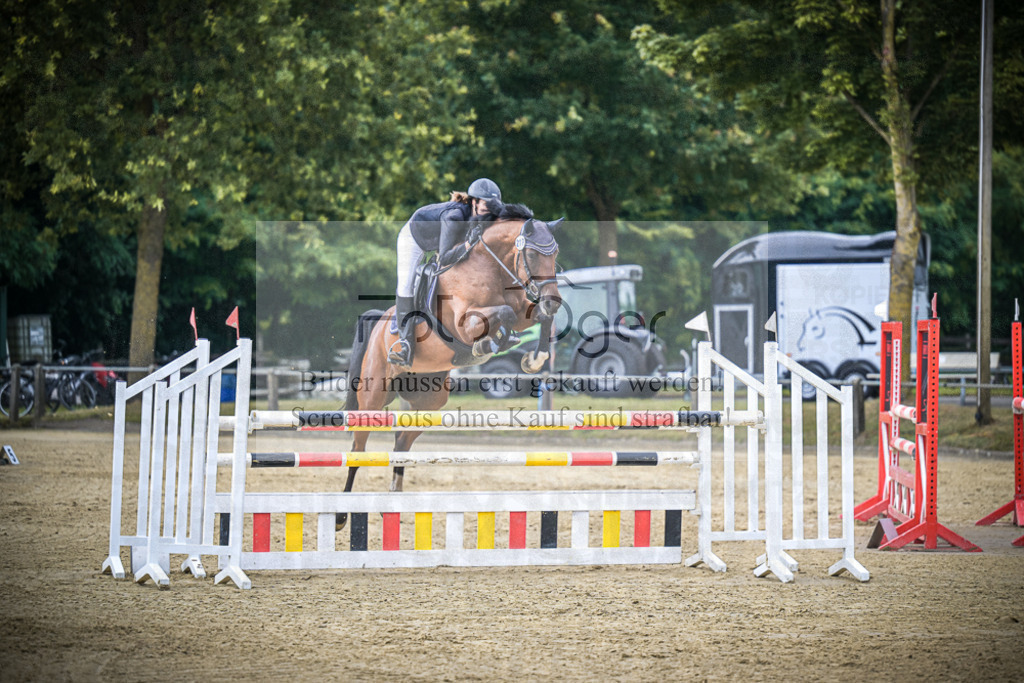 DOS_3024 | Entdecke hochwertige Reitturnierfotos von Foto Oger. Professionell, emotional und authentisch – jetzt Lieblingsmomente im Shop bestellen.Deutschlandweite Turnierfotografie. - Realisiert mit Pictrs.com