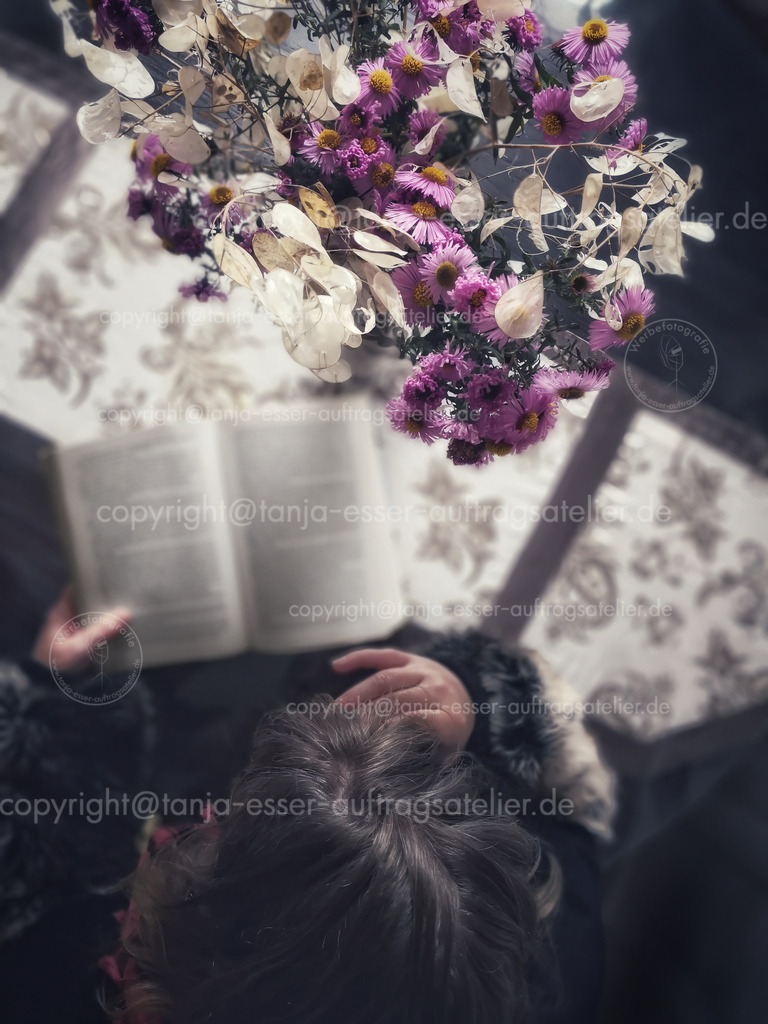 A woman spends the autumn at home and reads a book | Eine Frau verbringt den Herbst zu Hause und liest ein Buch. Astern und Silberblätter (Lunaria) sorgen für herbstliche Stimmung. Möbel aus dunklem Holz. Von oben fotografiert
