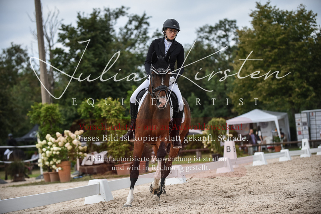 DSC_8561 | Pferde- und Turnierfotografie in Westsachsen. Pferdeportraits, Auftragszeichnungen und intuitive Kunst.