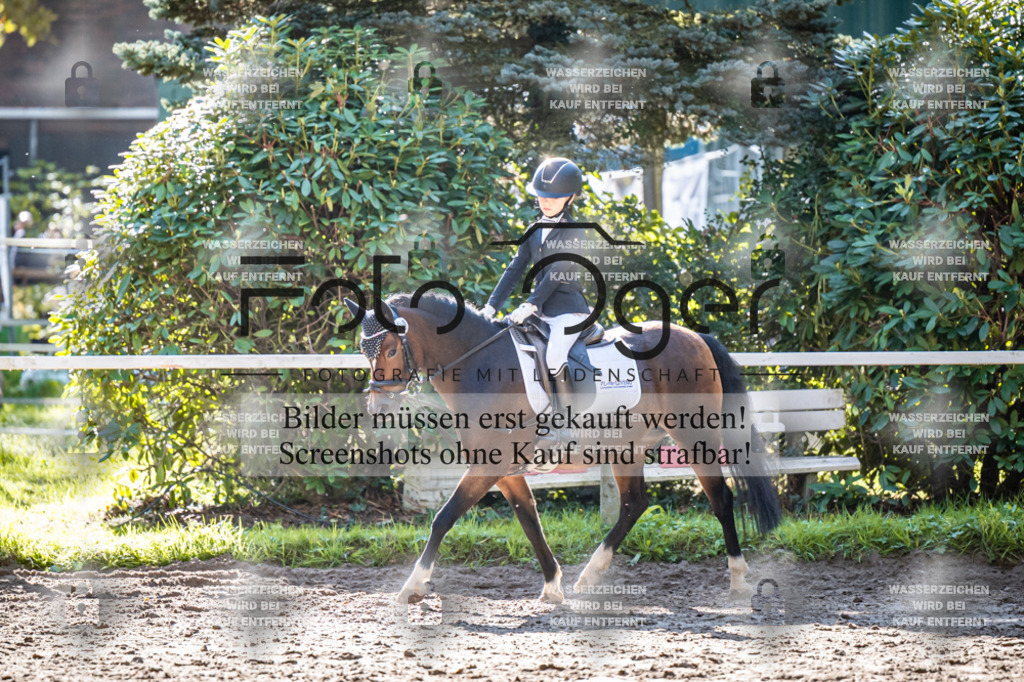 2026-10-Helle-20-4-0015 | Entdecke hochwertige Reitturnierfotos von Foto Oger. Professionell, emotional und authentisch – jetzt Lieblingsmomente im Shop bestellen.Deutschlandweite Turnierfotografie. - Realisiert mit Pictrs.com