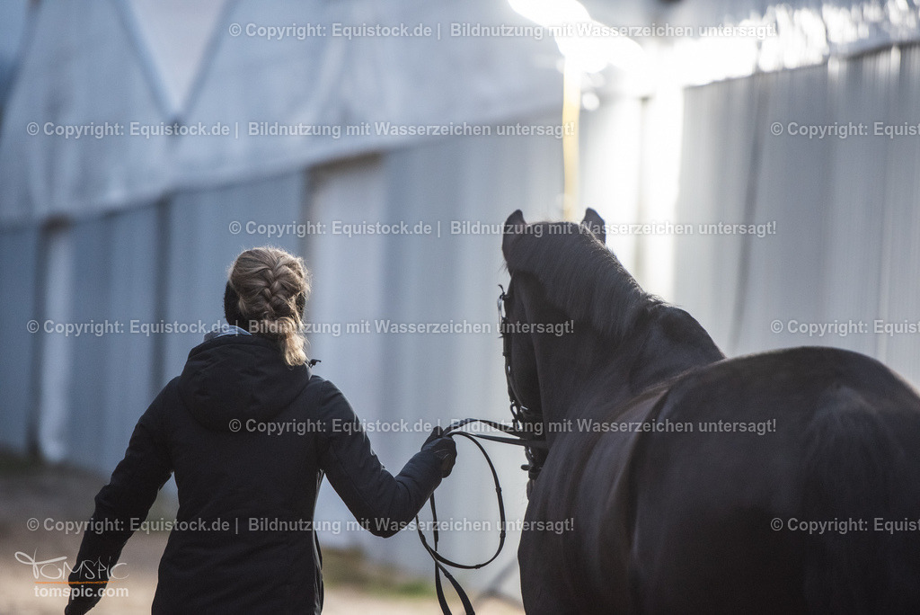 WEB_20241114_Vetcheck_TOMsPiC_0039 | Foto: Thomas Hartig