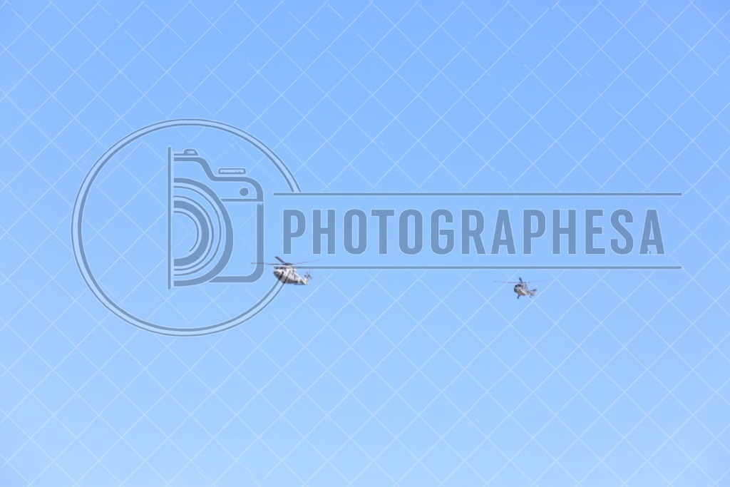 IMG_8829 | photographesa-joergens - Realisiert mit Pictrs.com