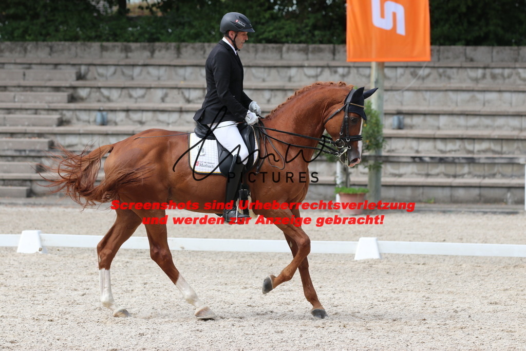 IMG_6946 | lmwpictures - Realisiert mit Pictrs.com