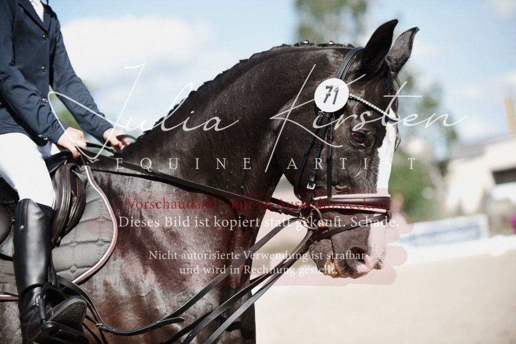 DSC_9902 | Pferde- und Turnierfotografie in Westsachsen. Pferdeportraits, Auftragszeichnungen und intuitive Kunst.