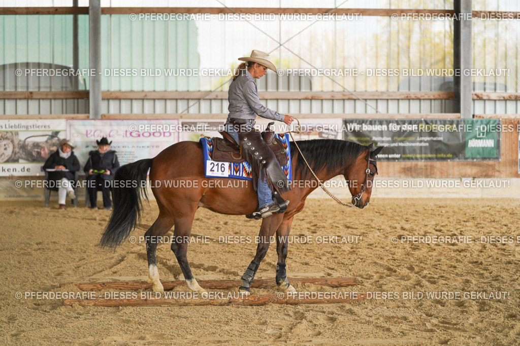 DSC02088 | Pferdegrafie