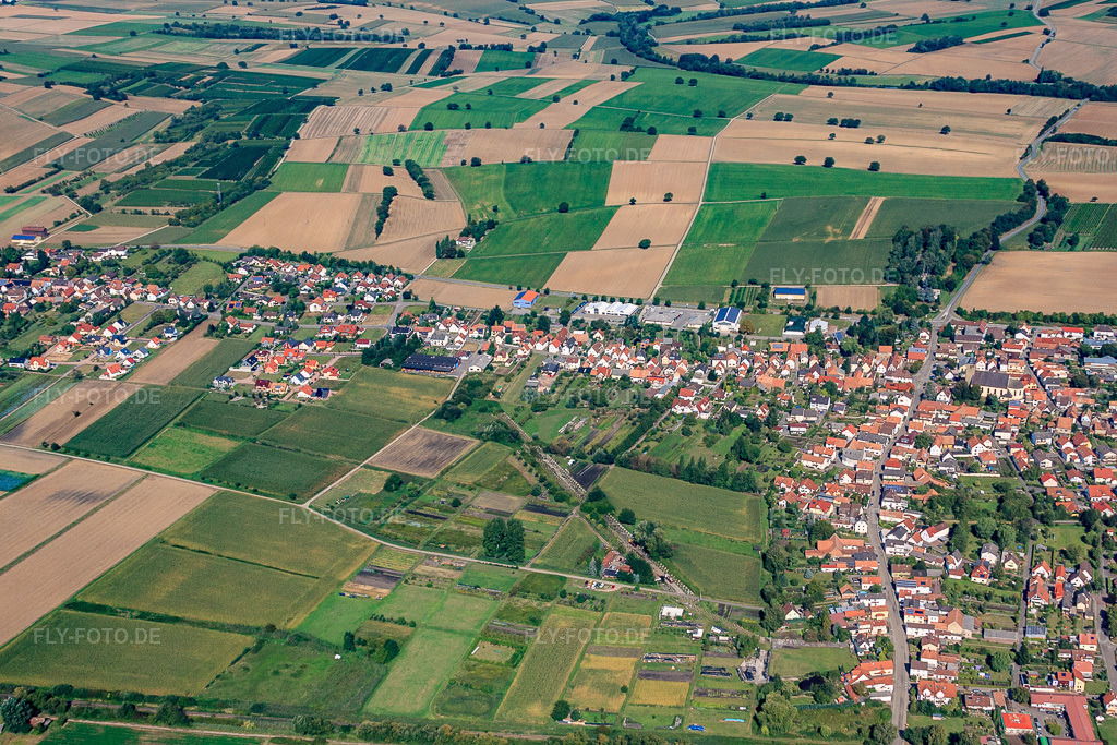 Luftbild: Höckerlinie in Steinfeld im Bundesland Rheinland-Pfalz in Deutschland. Foto: IMG_21042.jpg vom 06.09.2009 durch Werner Riehm/FLY-FOTO.de