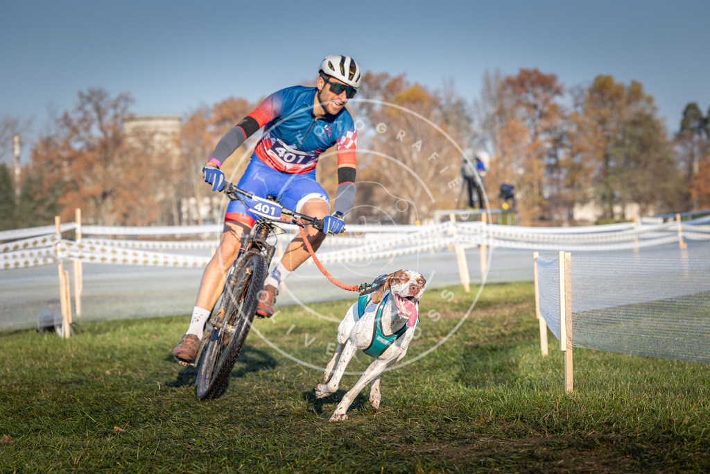 CaniXpix_0L8A3963 | Hundefotografie, Tierfotograf, Pfotenfotografie, Fotoshooting Hund, Hunde Portrait, Hundesport, Hundeportraits, Heideshooting, Hunde, Sportfotograf, Hundefotograf, Turnierhundsport, THS,  - Realisiert mit Pictrs.com