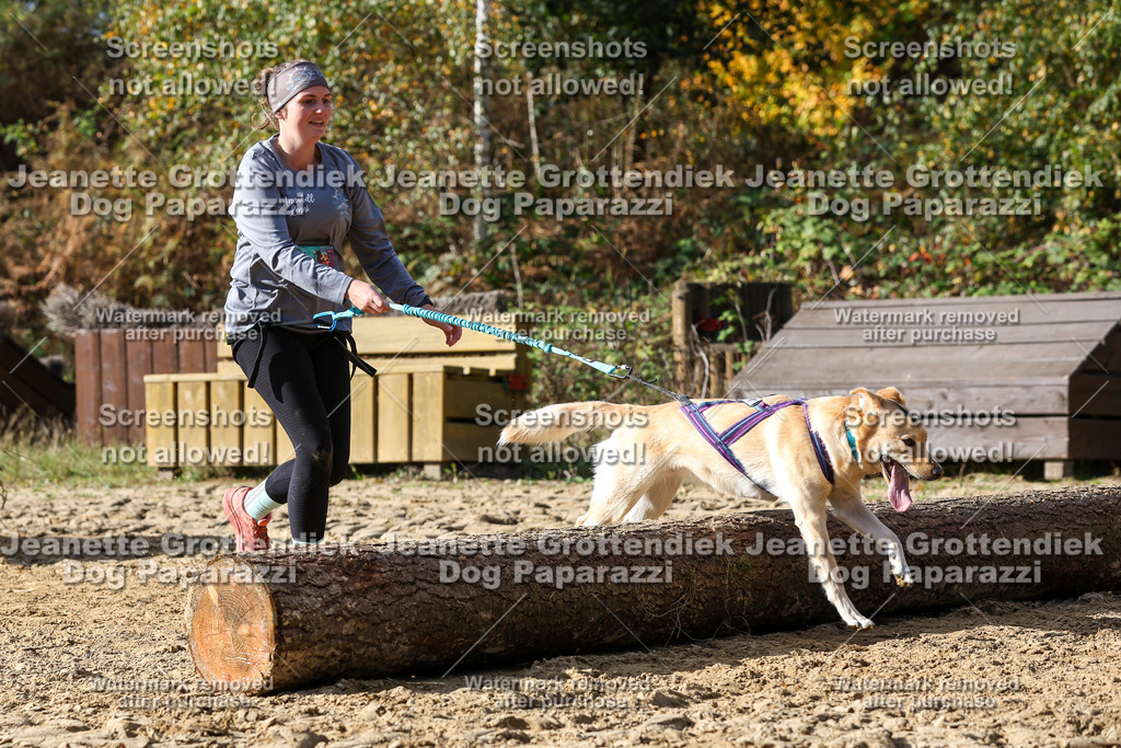 Dog Paparazzi - Strongdog 10-25-5365 | Dog Paparazzi Jeanette Grottendiek Fotografie & Videografie - Realisiert mit Pictrs.com