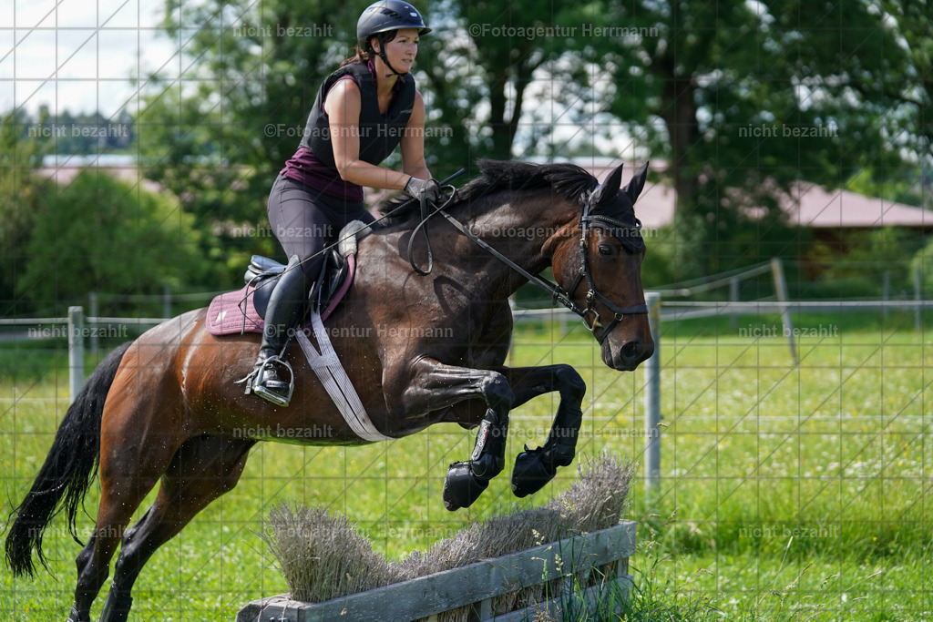 20240622-FAH07823 | Turnierfotografen Bayern, Reitsportbilder aus dem Geländekurs mit Felix Etzel auf dem Gut Waitzacker 2024