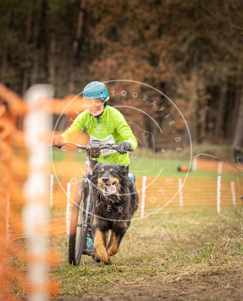 DV3A1650 | Hundefotografie, Tierfotograf, Pfotenfotografie, Fotoshooting Hund, Hunde Portrait, Hundesport, Hundeportraits, Heideshooting, Hunde, Sportfotograf, Hundefotograf, Turnierhundsport, THS,  - Realisiert mit Pictrs.com