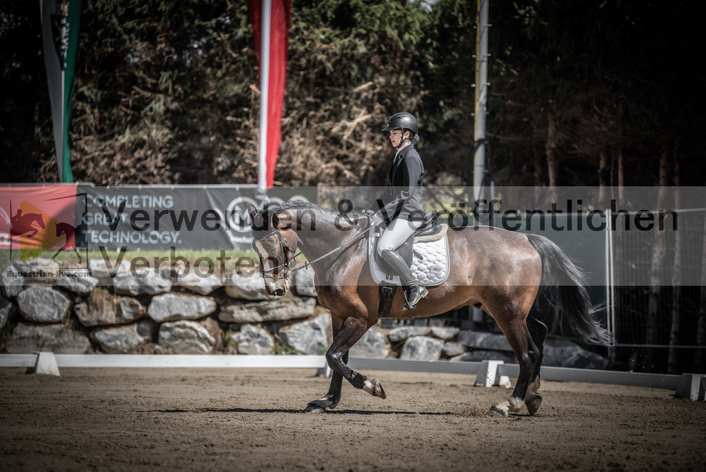 DSC_0291 | equestrian-live-com