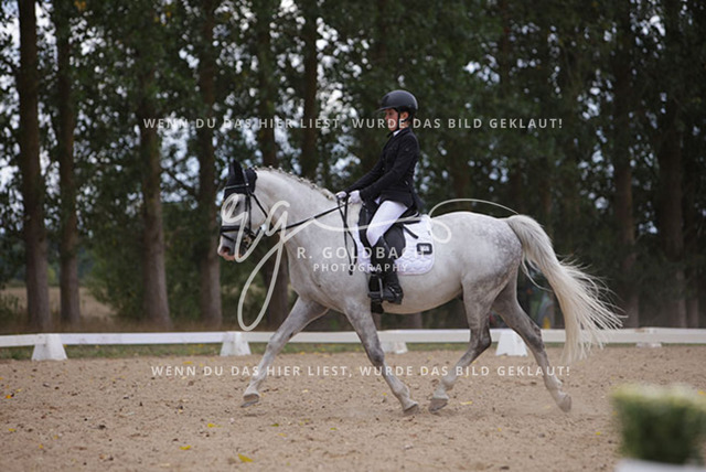 1J2A0850Charlotte Fehr_ Ikon 16_ Kn061_ Wöpkendorf_ Annalena Beier_ Quinn M_ Kn095 | Foto- und Videografie für alles rund ums Pferd. Hochwertige Bilder und Videos vom Spring- und Dressurreiten, Voltigieren & mehr. Jetzt aktuelle Veranstaltungen und Preise im Shop ansehen. - Realisiert mit Pictrs.com