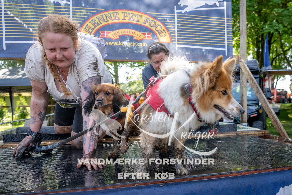 1523_ZZ91123 | kk-dogfotos