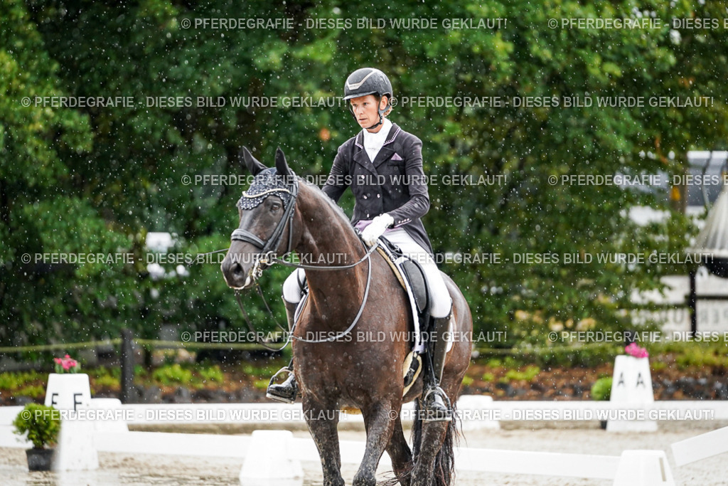 DSC08954 | Pferdegrafie