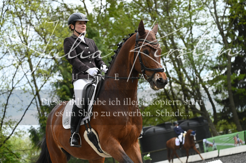 20230512_JK-Röhrsdorf-08-223 | Pferde- und Turnierfotografie in Westsachsen. Pferdeportraits, Auftragszeichnungen und intuitive Kunst.