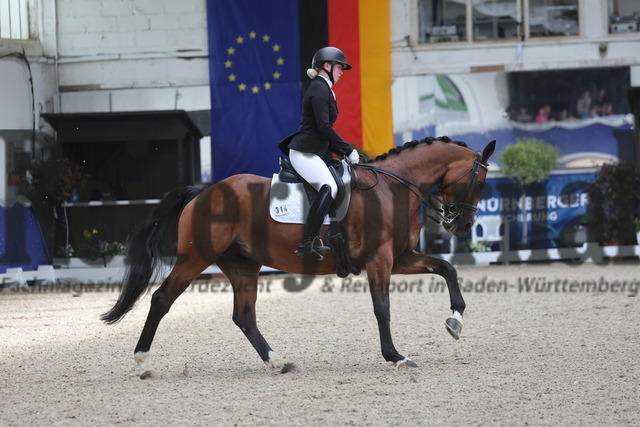 Pforzheim_2024_Prfg.Nr.12_Dressurreiterprfg.Kl.M_Nürnberger-Burgpokal_Hanna Käppler_Lieblingsstück 2 (14) | Alle Fotos der Reiterjournal Fotografin Doris Matthaes im Reiterjournal Online-Fotoshop. - Realisiert mit Pictrs.com