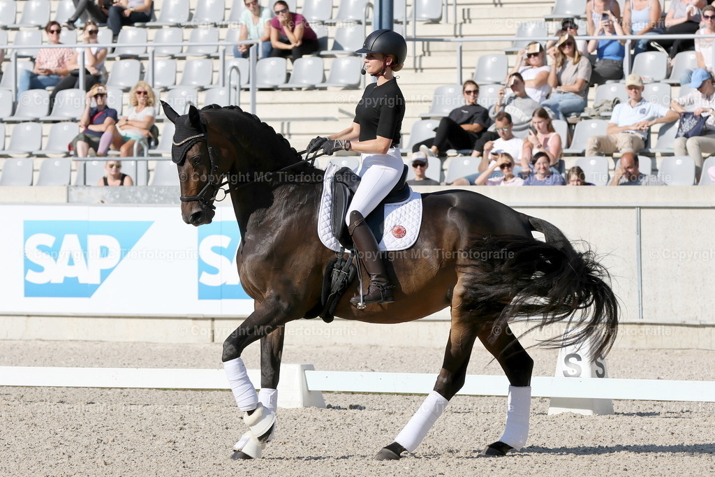Live-TrainingJ.v.Bredow-Werndl21.09.24MC3H5A6313B | Pferdefotos online bestellen - Realisiert mit Pictrs.com