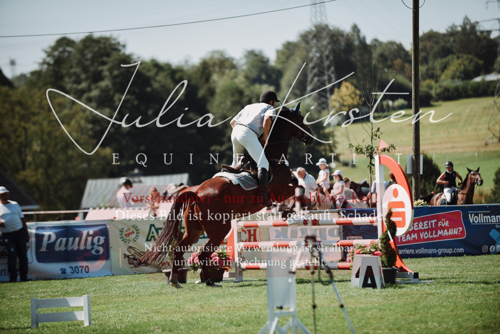 DSC_3289 | Pferde- und Turnierfotografie in Westsachsen. Pferdeportraits, Auftragszeichnungen und intuitive Kunst.