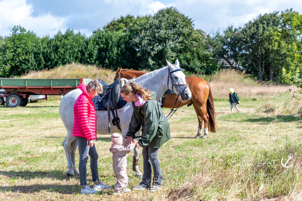 20240707-EAF_8455 | Eilun-Art-Fotografie Levke Martens, ihre Fotografin für Immobilien- und Landschaftsfotografie auf Föhr, Föhrer Motive als Poster, Leinwand, hinter Acrylglas oder stelle dir deinen eigenen Monatskalender zusammen, mit nur einem Klick