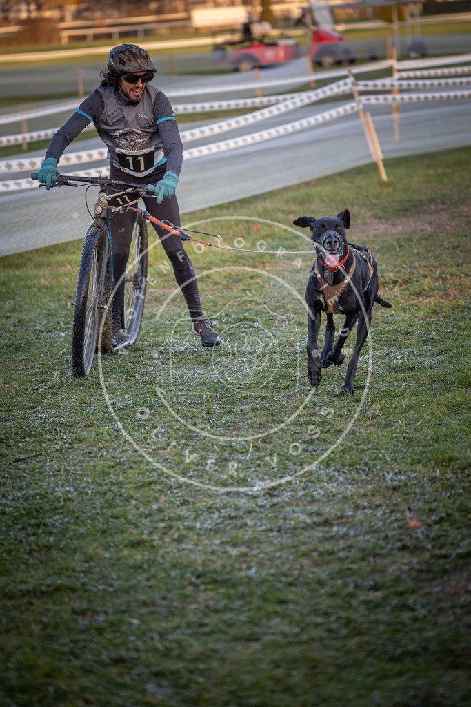 CaniXpix_0L8A1446 | Hundefotografie, Tierfotograf, Pfotenfotografie, Fotoshooting Hund, Hunde Portrait, Hundesport, Hundeportraits, Heideshooting, Hunde, Sportfotograf, Hundefotograf, Turnierhundsport, THS,  - Realisiert mit Pictrs.com