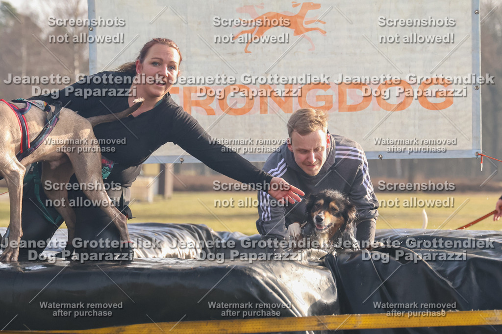 Dog Paparazzi - SD North 0326 900930-238 | Dog Paparazzi Jeanette Grottendiek Fotografie & Videografie - Realisiert mit Pictrs.com