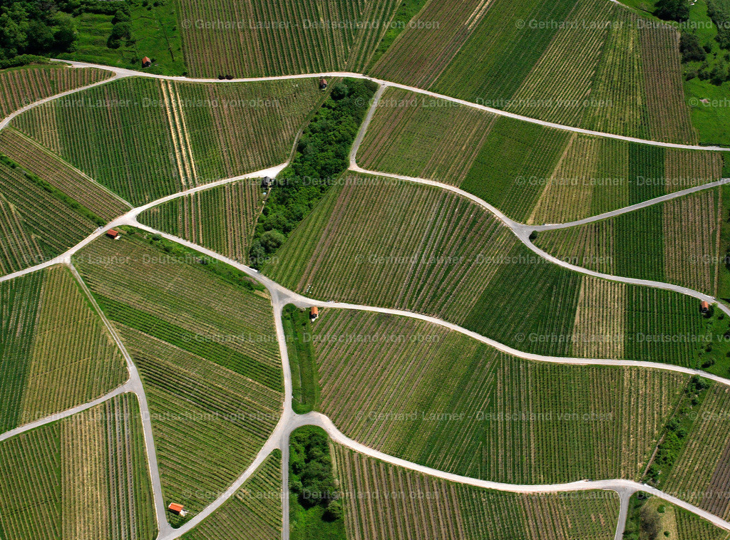 2506634 | Weinberge bei Korb