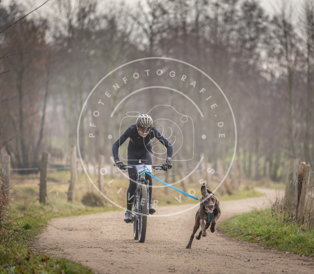 Pfotenfotografie_DV3A1542 | Hundefotografie, Tierfotograf, Pfotenfotografie, Fotoshooting Hund, Hunde Portrait, Hundesport, Hundeportraits, Heideshooting, Hunde, Sportfotograf, Hundefotograf, Turnierhundsport, THS,  - Realisiert mit Pictrs.com