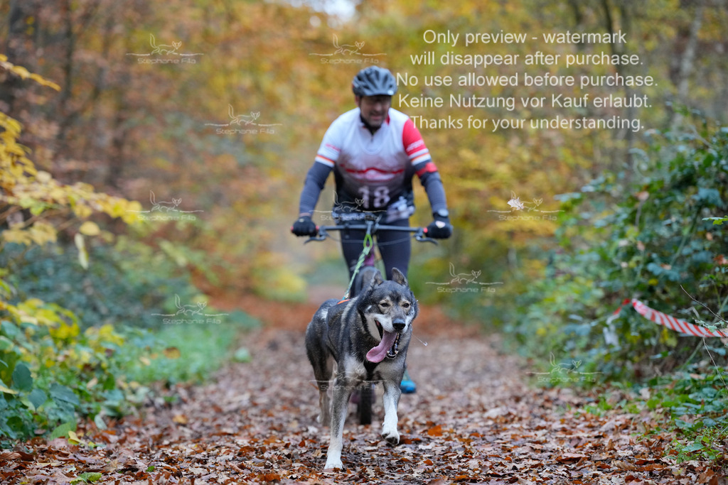 Scooter_So-40 | stephaniefillaphotographie - Realisiert mit Pictrs.com