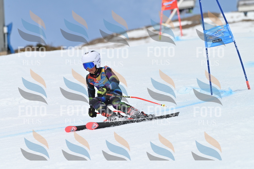 BGV_2493 | holidayphoto