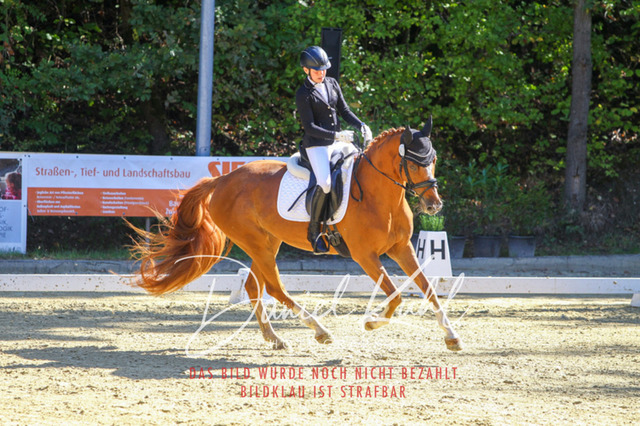 DKP41753 | Turniersportfotografie; Pferdefotografie; Dressurfotografie