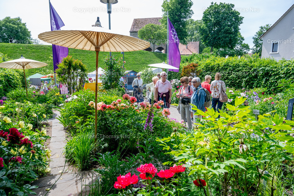 Lorsch-Fruehlingsmarkt-fotografie-thomas-neu.jpg1 | ble, Lorsch, Frühlingsmarkt, Pfingstrosengarten war einOrt der Entspannung am Sonntag, ,Bild: THomas Neu