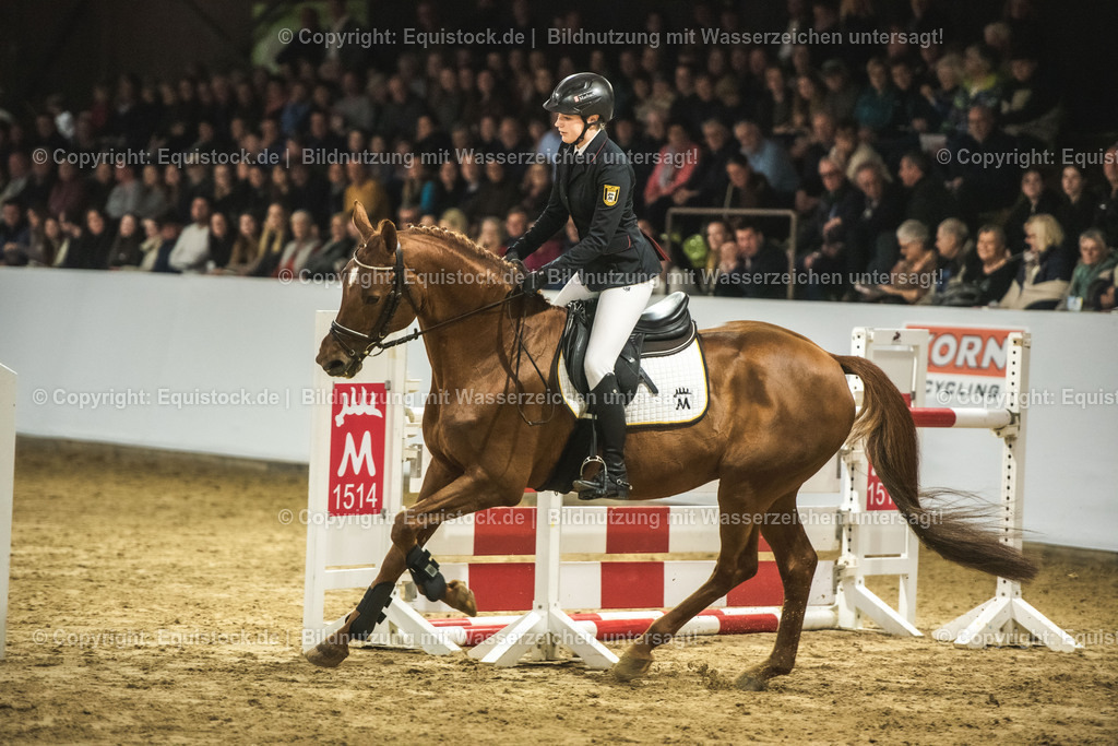 20240302_Hengstvorstellung_Marbach_TOMsPiC_1359 | equistock