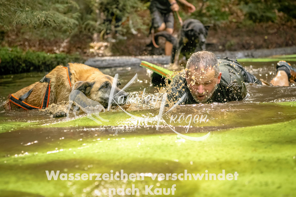 1409_ZZ91195-Bearbeitet | kk-dogfotos