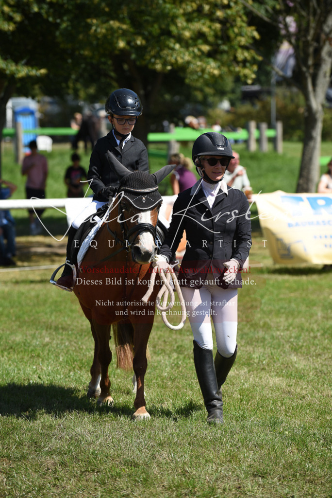 DSC_9671 | Pferde- und Turnierfotografie in Westsachsen. Pferdeportraits, Auftragszeichnungen und intuitive Kunst.