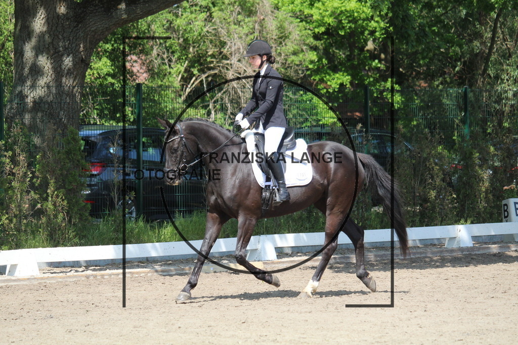 IMG_3800 | franziskalange - Realisiert mit Pictrs.com