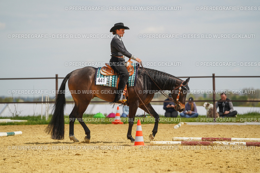 DSC05310 | Pferdegrafie