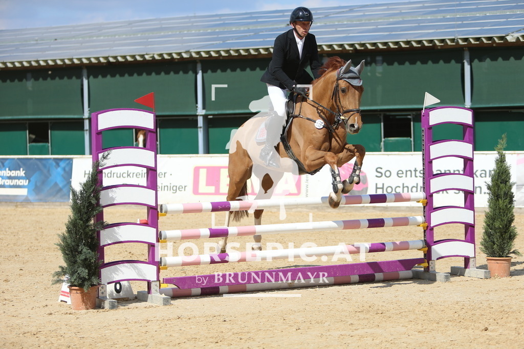DL2Q9171 | Willkommen bei Brunnmayr - Design & Fotografie – Ihrem Spezialisten für Reitturniere und Pferdeveranstaltungen in Oberösterreich, Salzburg und Bayern! Seit über 17 Jahren sind wir leidenschaftlich dabei.