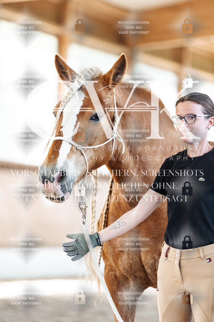 CK906769 | Turnierfotografie Pferdefotografie Trier Rheinland-Pfalz Pferdesport Reitsport Tierfotografie Sportfotografie Pferdevideo Pferdevideografie Equestrianvideography equestrianphotography  - Realisiert mit Pictrs.com