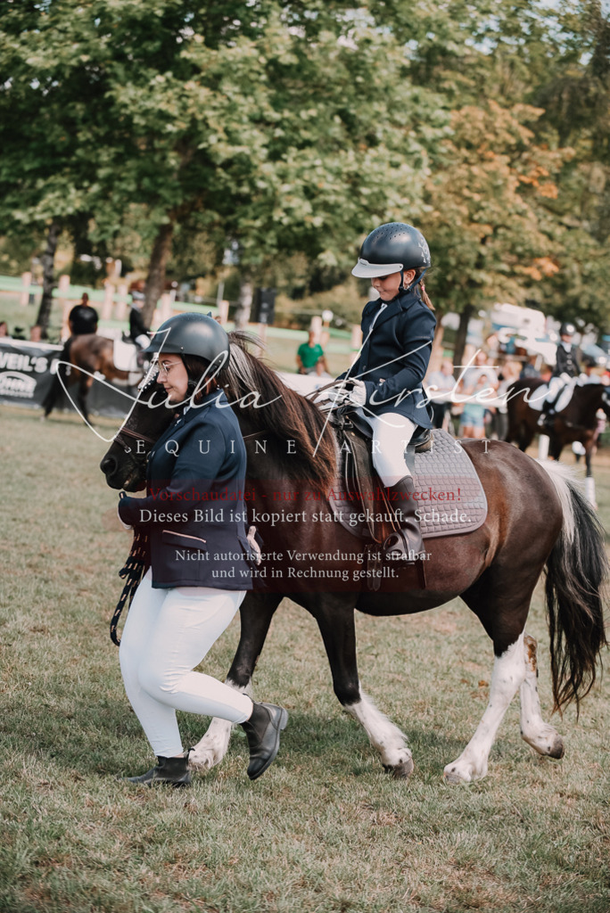 DSC_6053 | Pferde- und Turnierfotografie in Westsachsen. Pferdeportraits, Auftragszeichnungen und intuitive Kunst.