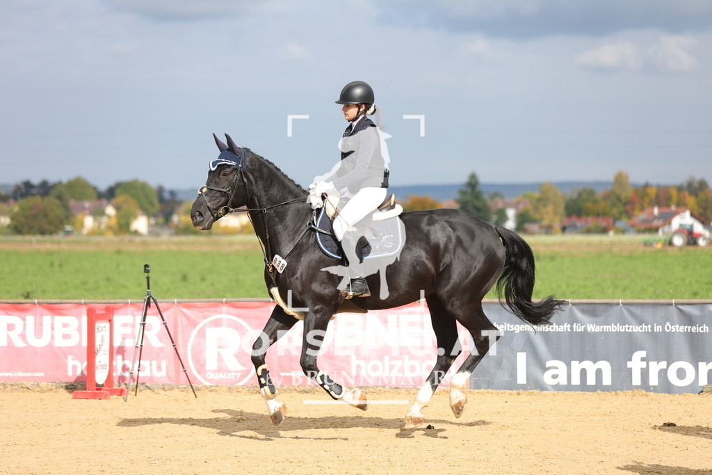 0P6A8561 | Willkommen bei Brunnmayr - Design & Fotografie – Ihrem Spezialisten für Reitturniere und Pferdeveranstaltungen in Oberösterreich, Salzburg und Bayern! Seit über 17 Jahren sind wir leidenschaftlich dabei.