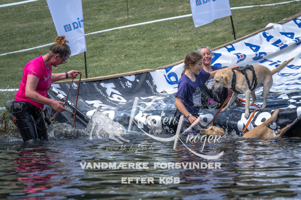 1226_ZZ97355 | kk-dogfotos